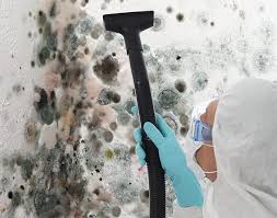 Salado, TX Mold Removal Services Company